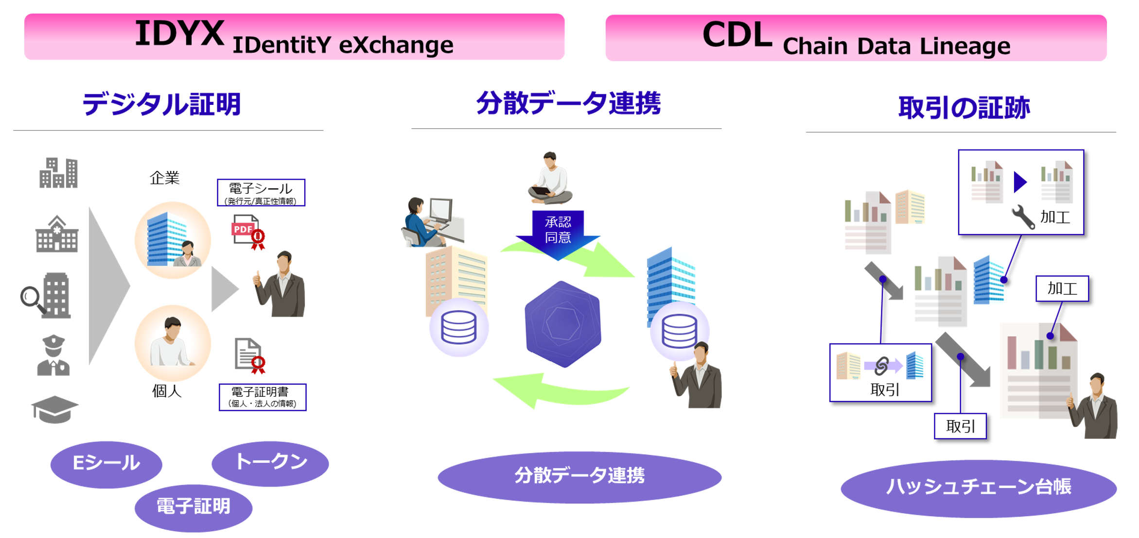 IDYX/CDL概要図