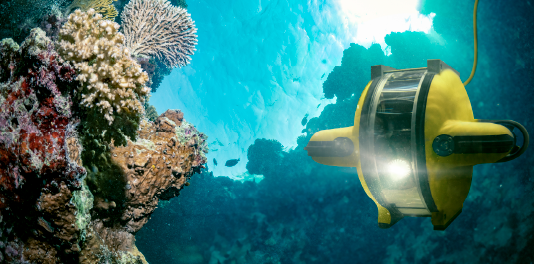 ビジネス展開におけるポイント